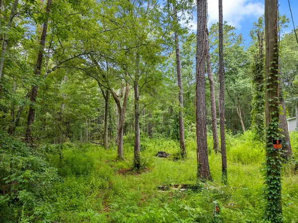 $19,900 | Xxx Xxx Red Gum Road, Tallahassee, FL 32304
