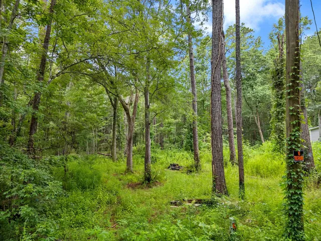 $19,900 | Xxx Xxx Red Gum Road, Tallahassee, FL 32304