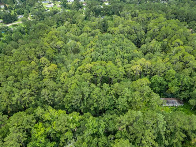 $19,900 | Xxx Xxx Red Gum Road, Tallahassee, FL 32304
