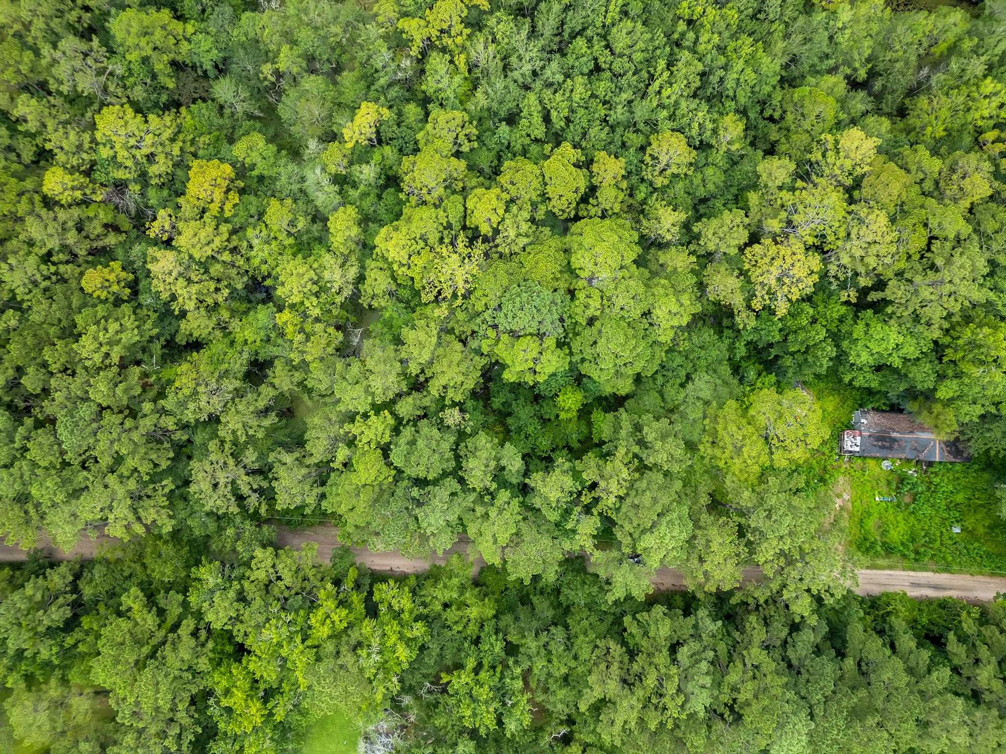 Xxx Xxx Red Gum Road Tallahassee, FL 32304 - Photo 5 of 8