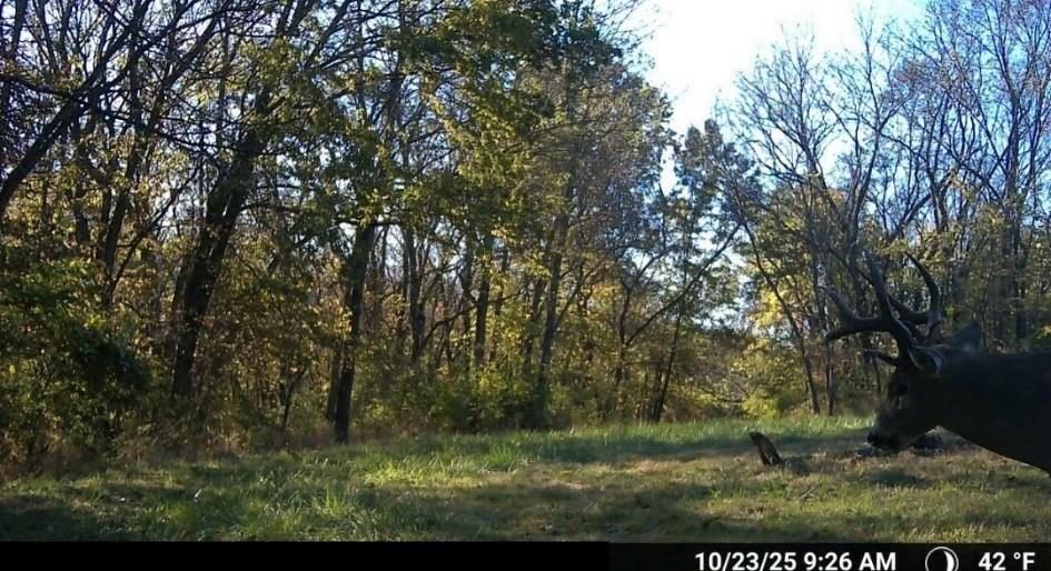 16707 South Groll Road Greenwood, MO 64034 - Photo 45 of 51