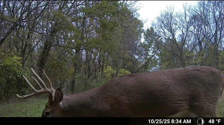 16707 South Groll Road Greenwood, MO 64034 - Photo 46 of 51