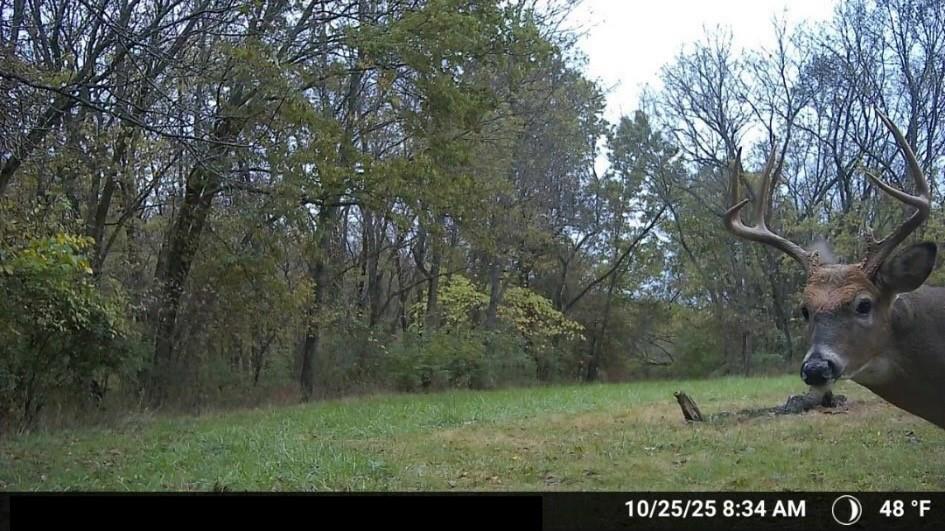 16707 South Groll Road Greenwood, MO 64034 - Photo 47 of 51