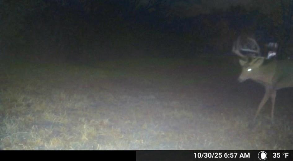 16707 South Groll Road Greenwood, MO 64034 - Photo 48 of 51