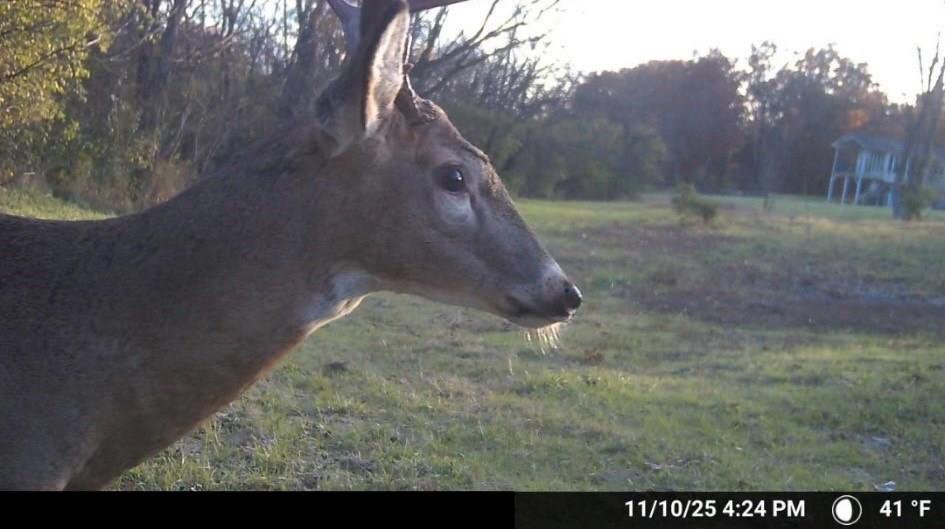 16707 South Groll Road Greenwood, MO 64034 - Photo 50 of 51