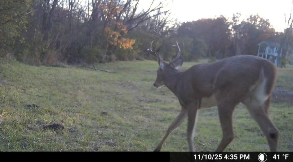 16707 South Groll Road Greenwood, MO 64034 - Photo 51 of 51