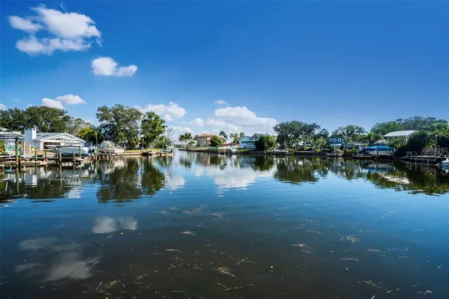 $6,800 | 110 Carlyle Circle, Palm Harbor, FL 34683