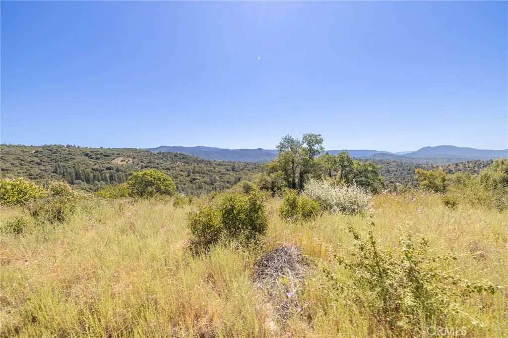 149 Old Yosemite Road Oakhurst, CA 93644 - Photo 24 of 74 Gallery Image 24
