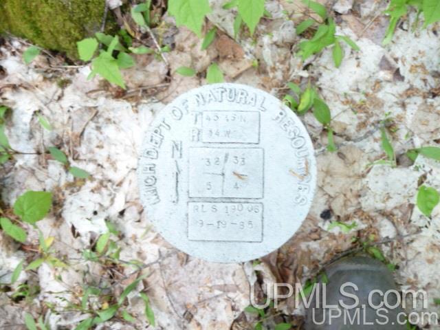 Tbd Porter Lake Road Crystal Falls, MI 49903 - Photo 10 of 10