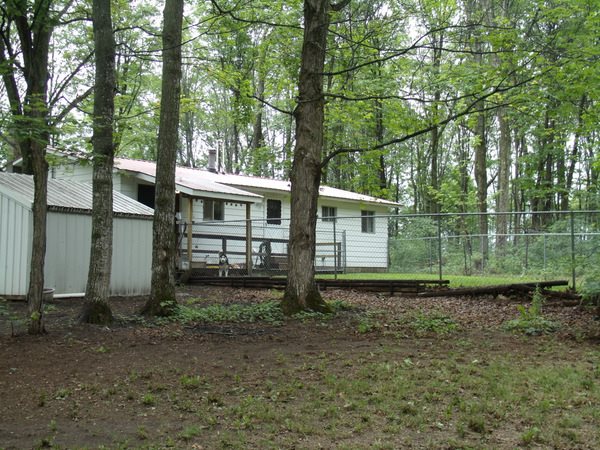 10592 Johnson Road Mancelona, MI 49659 - Photo 9 of 44 1834900-8.JPG