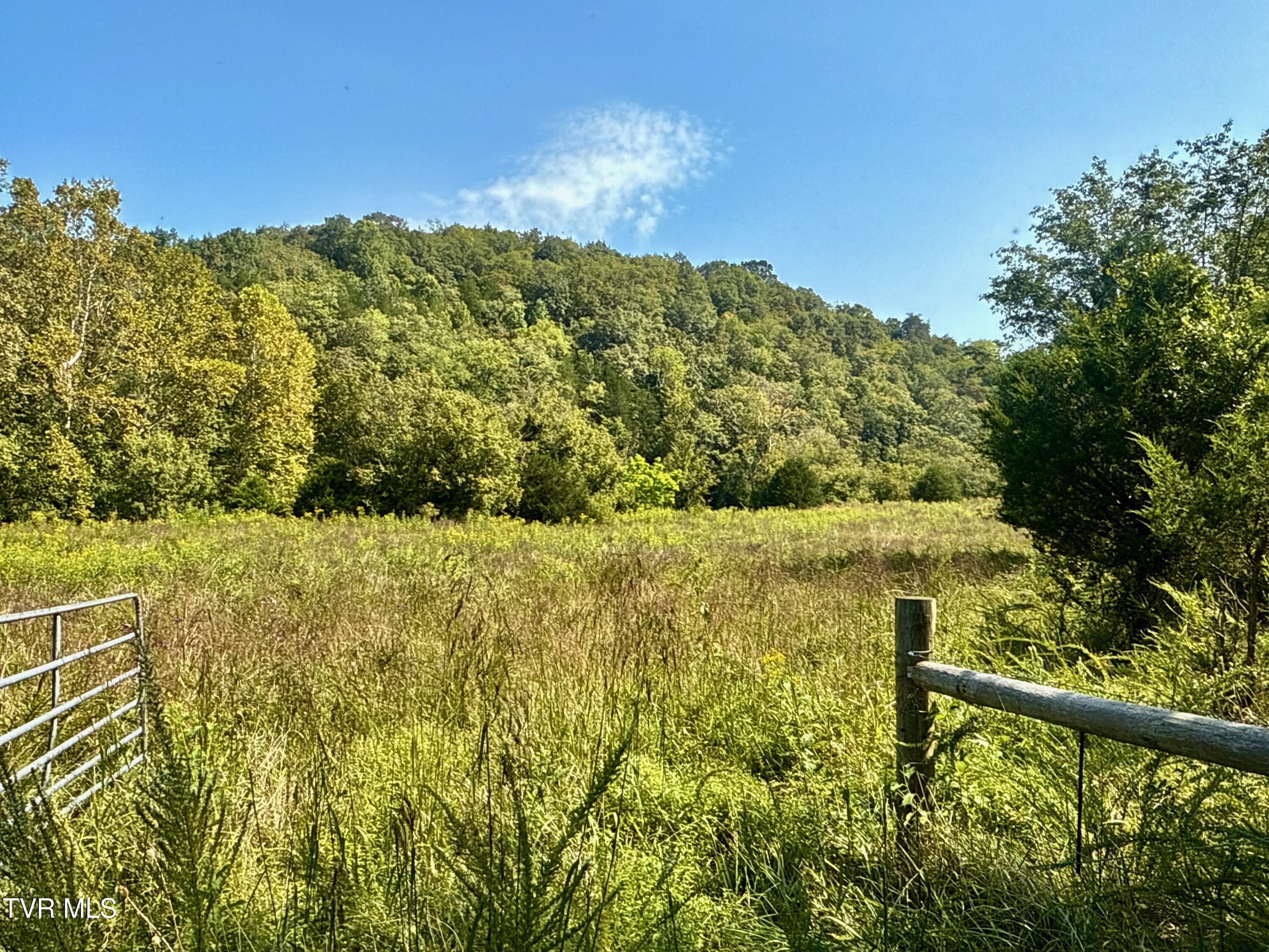 2114 Powell River Road Tazewell, TN 37879 - Photo 70 of 122 _Pic69 (9)