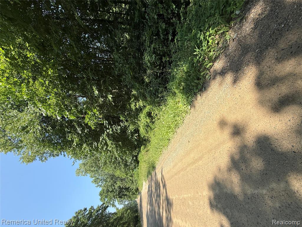 5550 Fisher Road Howell, MI 48855 - Photo 8 of 8
