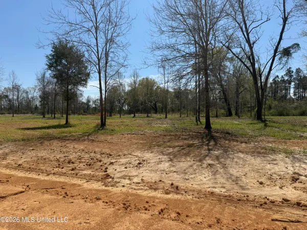 $34,900 | Lot 12 Oakley Lane, Lucedale, MS 39452