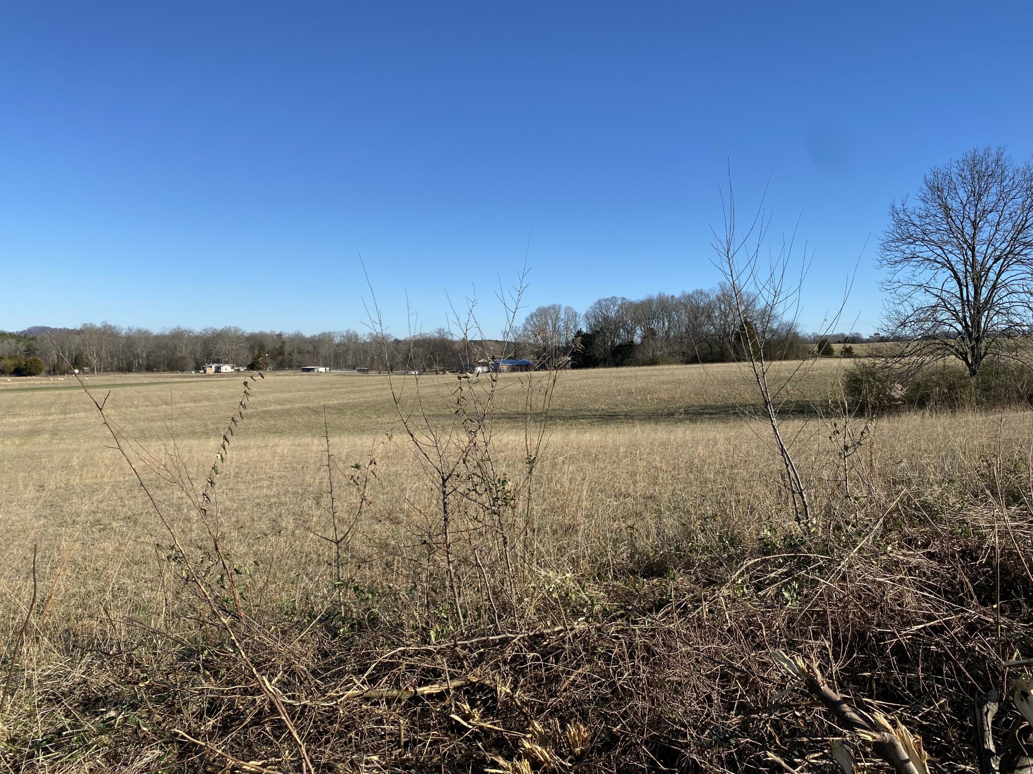 0 Dyer Road Madisonville, TN 37354 - Photo 5 of 9