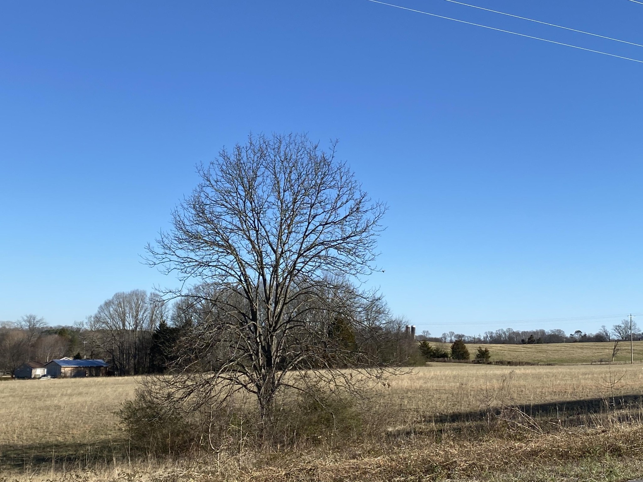 0 Dyer Road Madisonville, TN 37354 - Photo 9 of 9