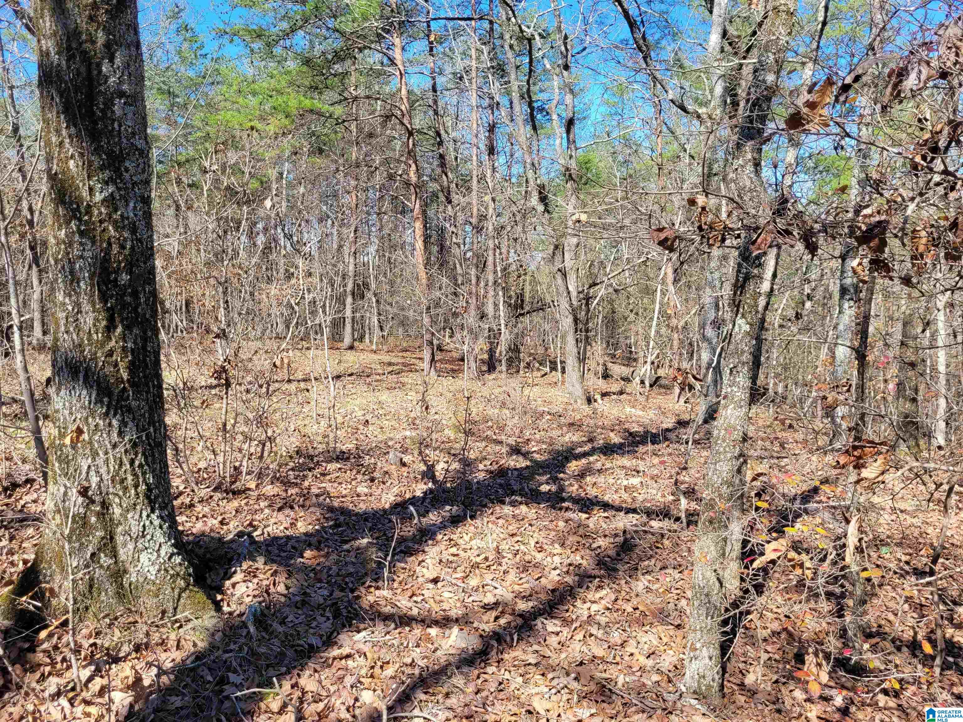 565 Hiawatha Road Calera, AL 35040 - Photo 26 of 27