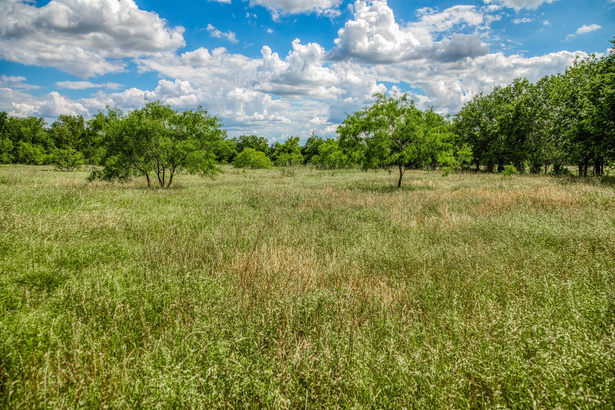 Tbd North Oneal Street Caldwell, TX 77836 - Photo 18 of 26