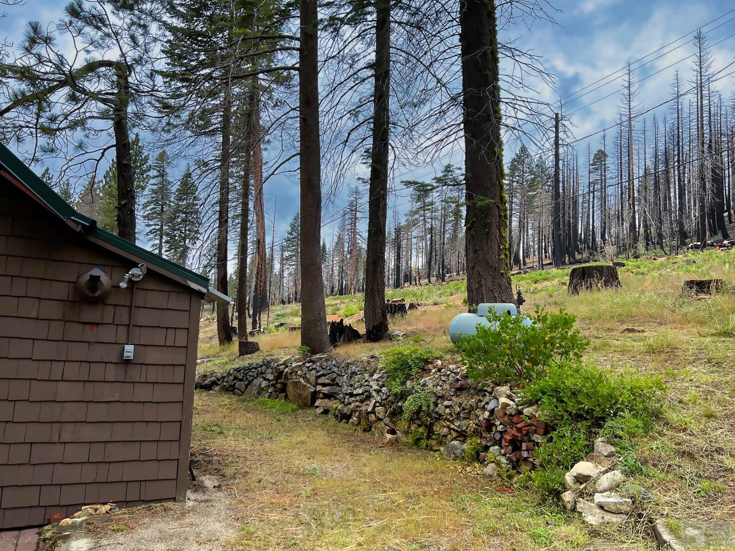 127 46 Milestone South Lake Tahoe, CA 95721 - Photo 18 of 22 a view of a backyard of the house