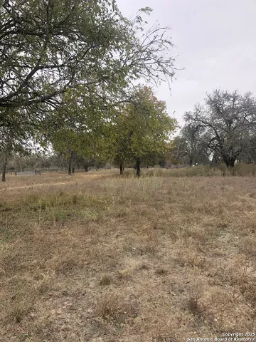 $175,000 | 156 County Road 781, Natalia, TX 78059