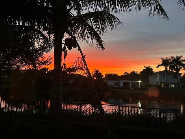 a row of palm trees sitting in a park with palm trees