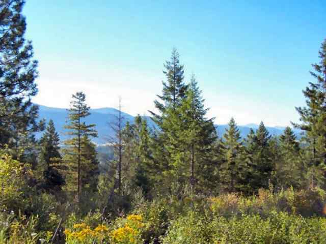 E-2 Smackout Pass Road Ione, WA 99139 - Photo 2 of 2