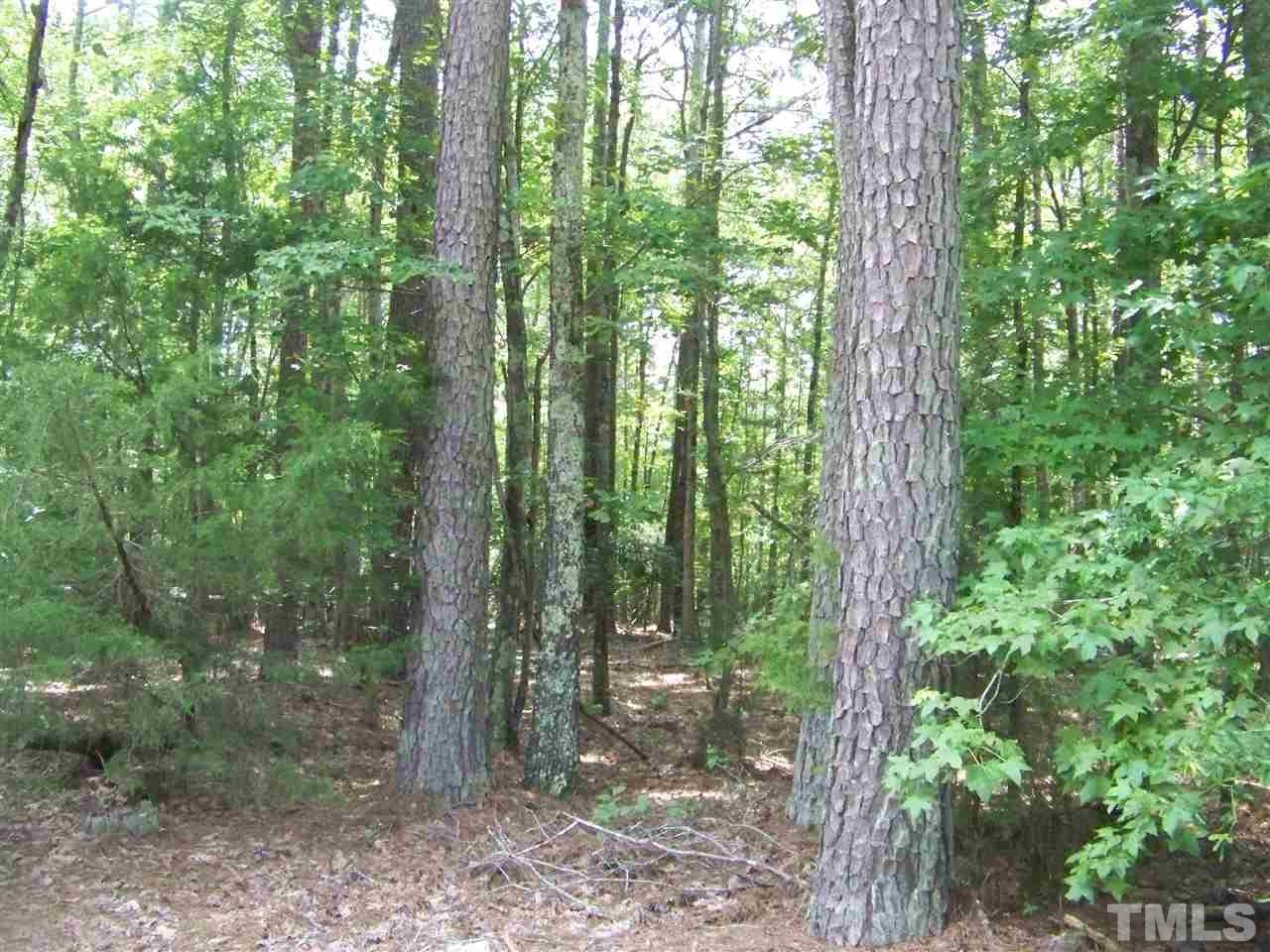 2 Reavis Road Oxford, NC 27565 - Photo 3 of 7 Gallery Image 3