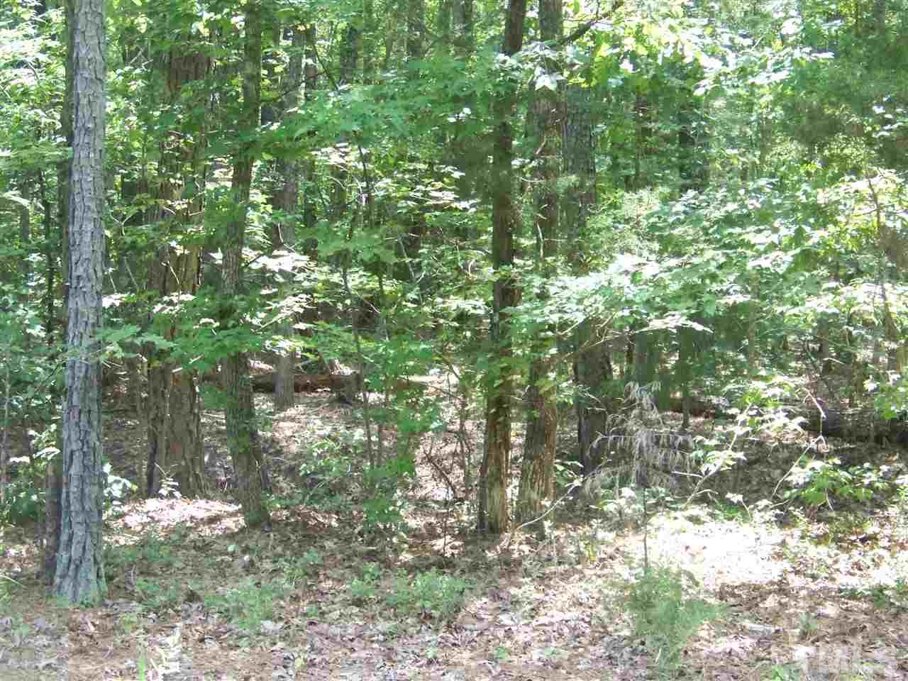 2 Reavis Road Oxford, NC 27565 - Photo 5 of 7 Gallery Image 5
