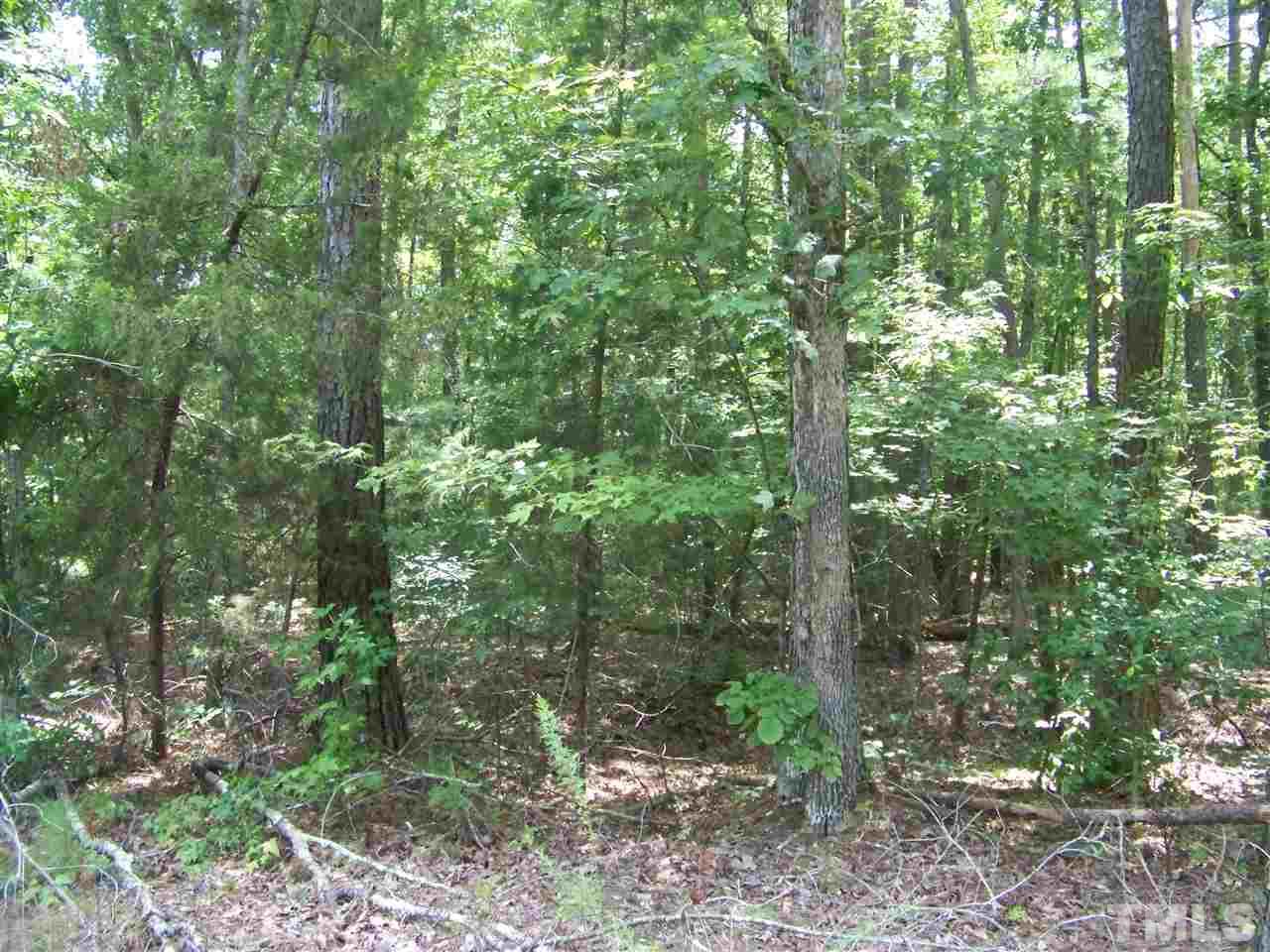 2 Reavis Road Oxford, NC 27565 - Photo 6 of 7 Gallery Image 6