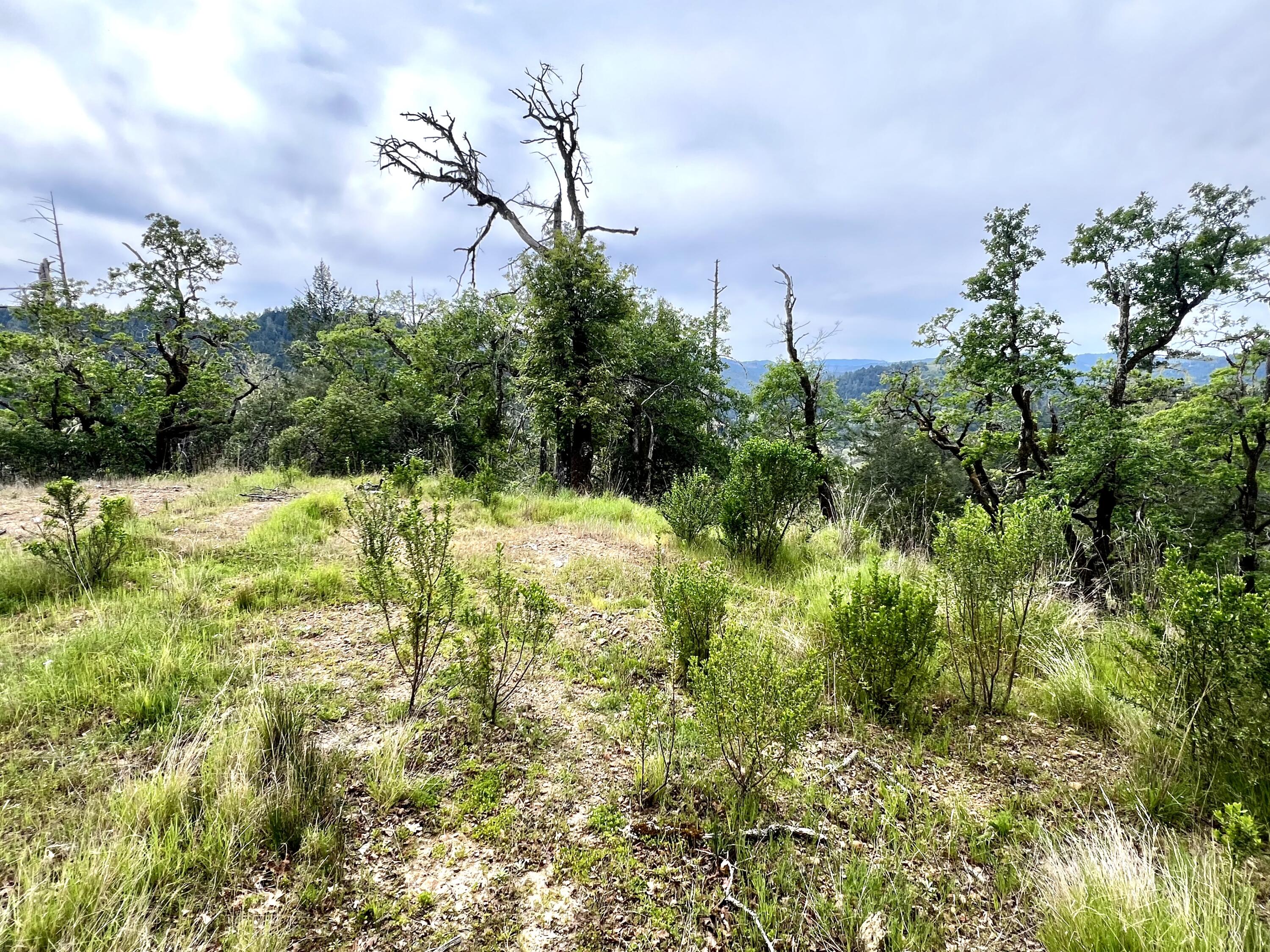 1880 Tunnel Road Redway, CA 95560 - Photo 8 of 13
