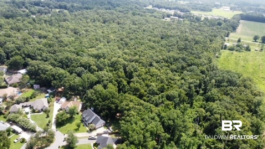 0 State Highway Silverhill, AL 36576 - Photo 9 of 9 Additional View From West