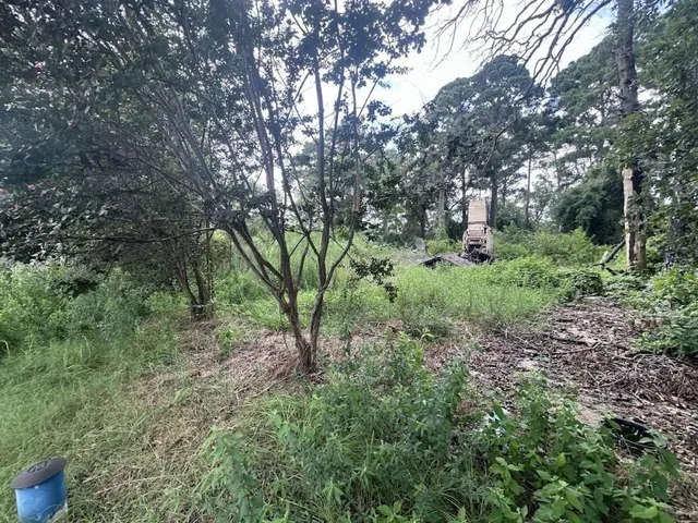 a big yard with lots of green space and deers