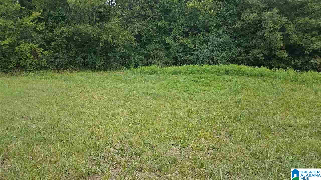 1973 Eastern Valley Road Bessemer, AL 35022 - Photo 6 of 6