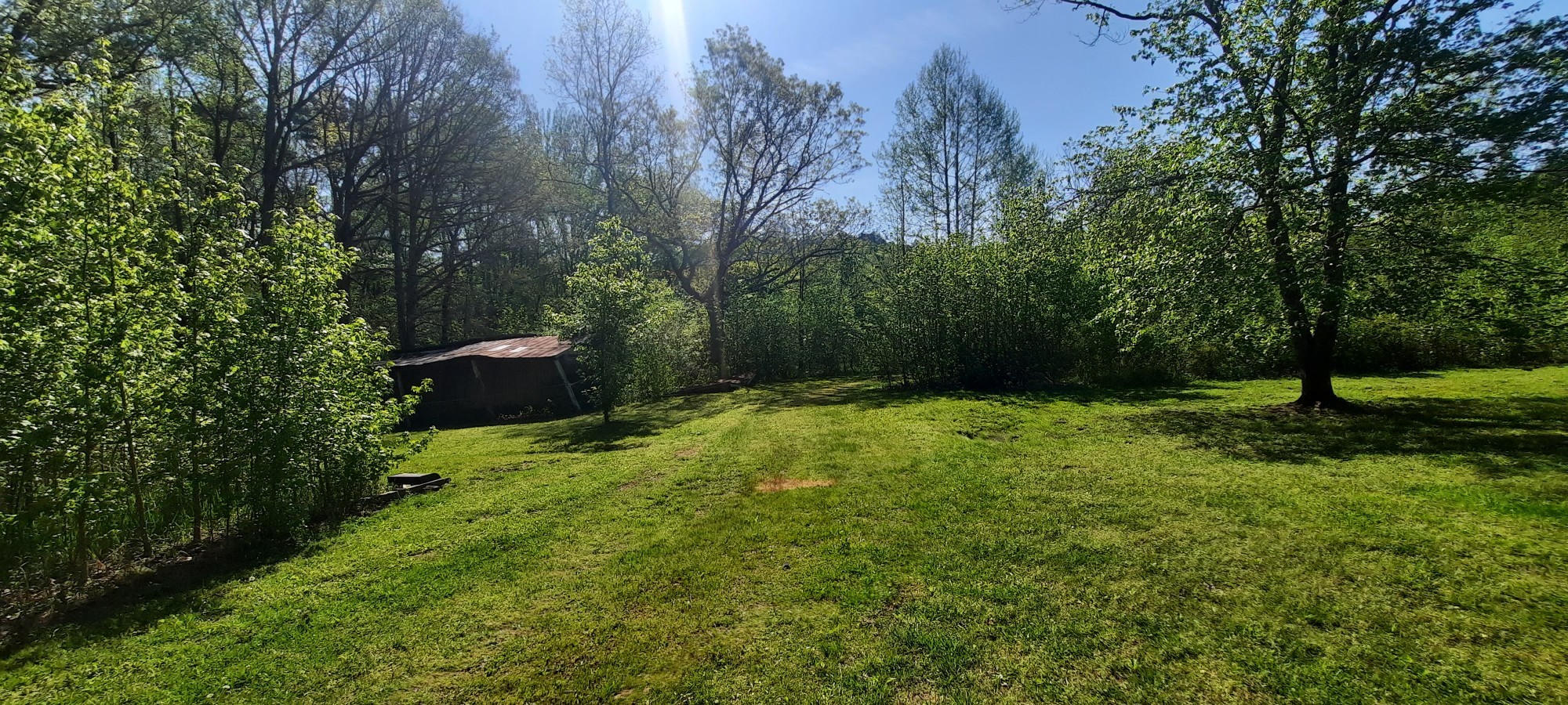 637 Robinson Road Centerville, TN 37033 - Photo 2 of 6 a view of backyard with green space