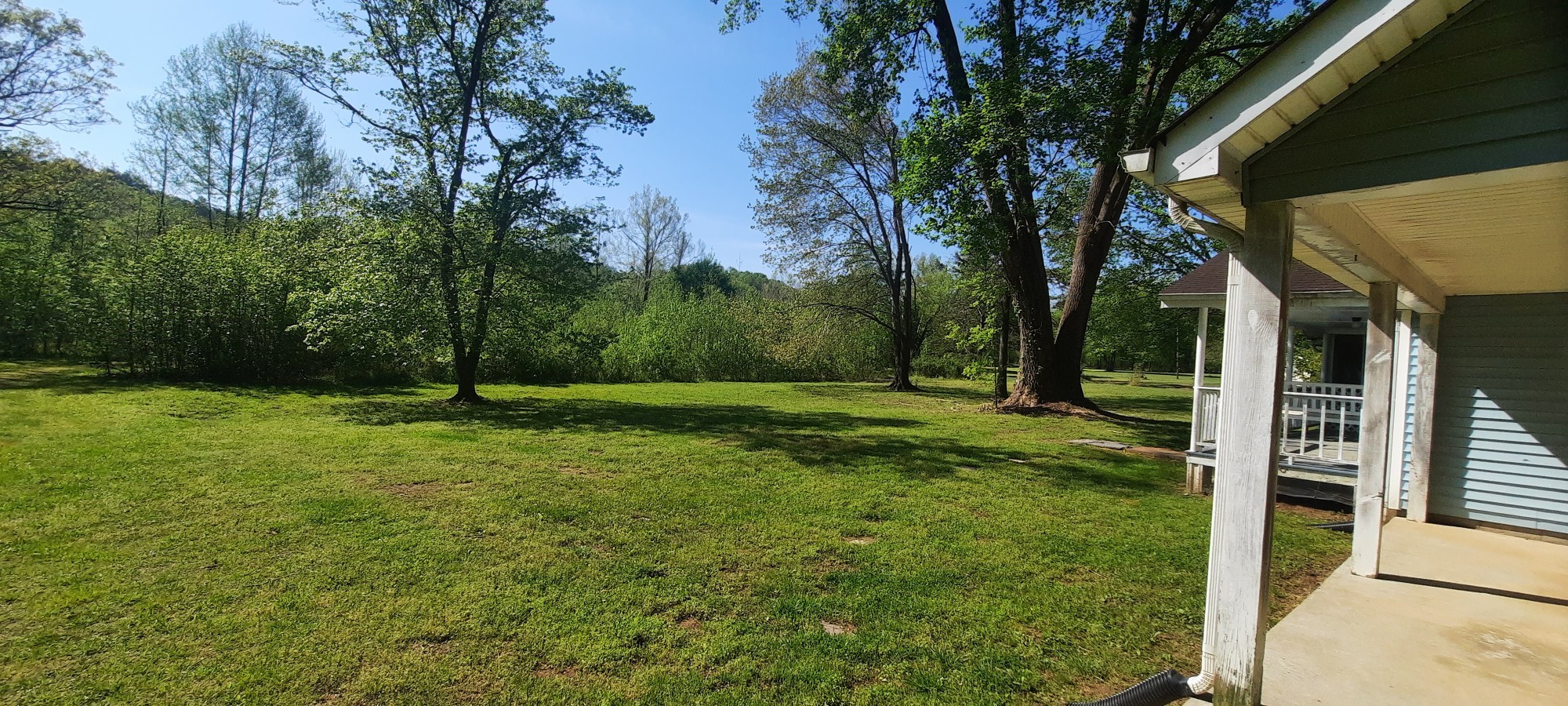 637 Robinson Road Centerville, TN 37033 - Photo 4 of 6 a view of a backyard