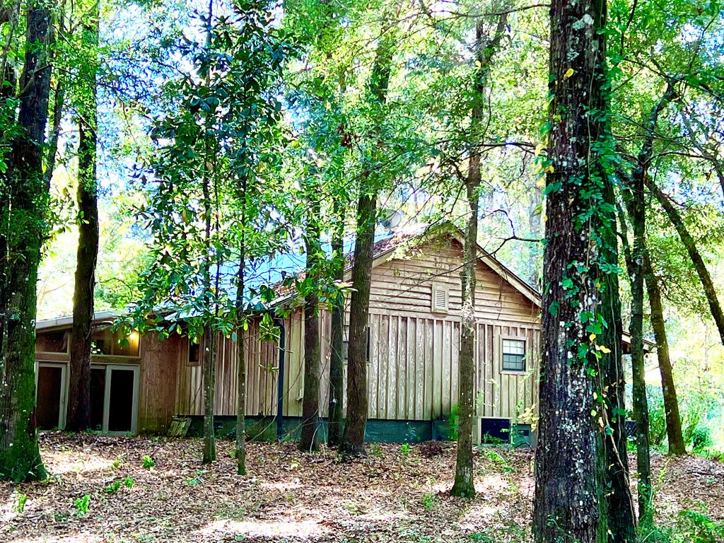 1328 Chestnutt Road Slocomb, AL 36375 - Photo 11 of 68