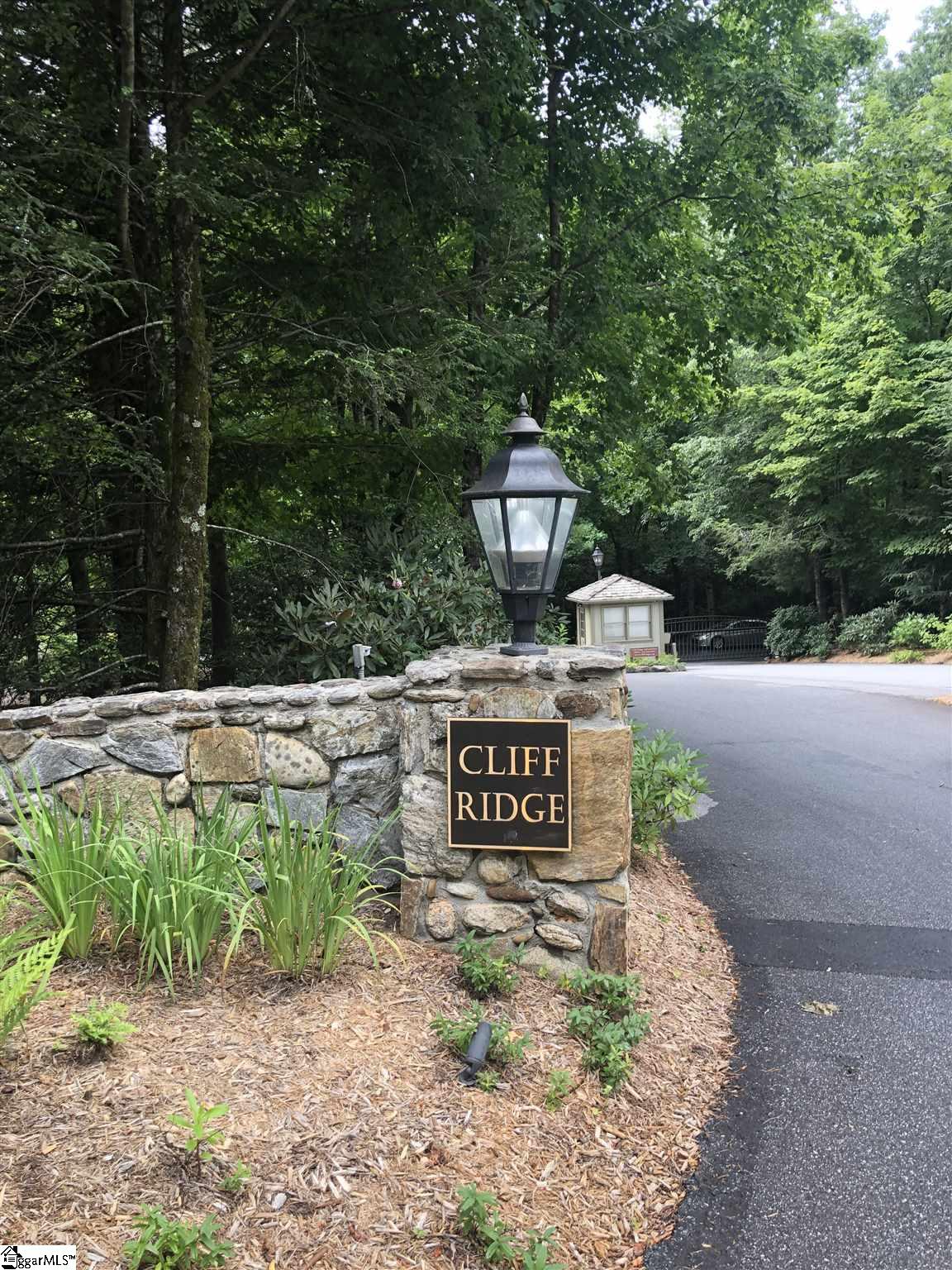 216 Conifer Falls Road Cleveland, SC 29635 - Photo 1 of 8
