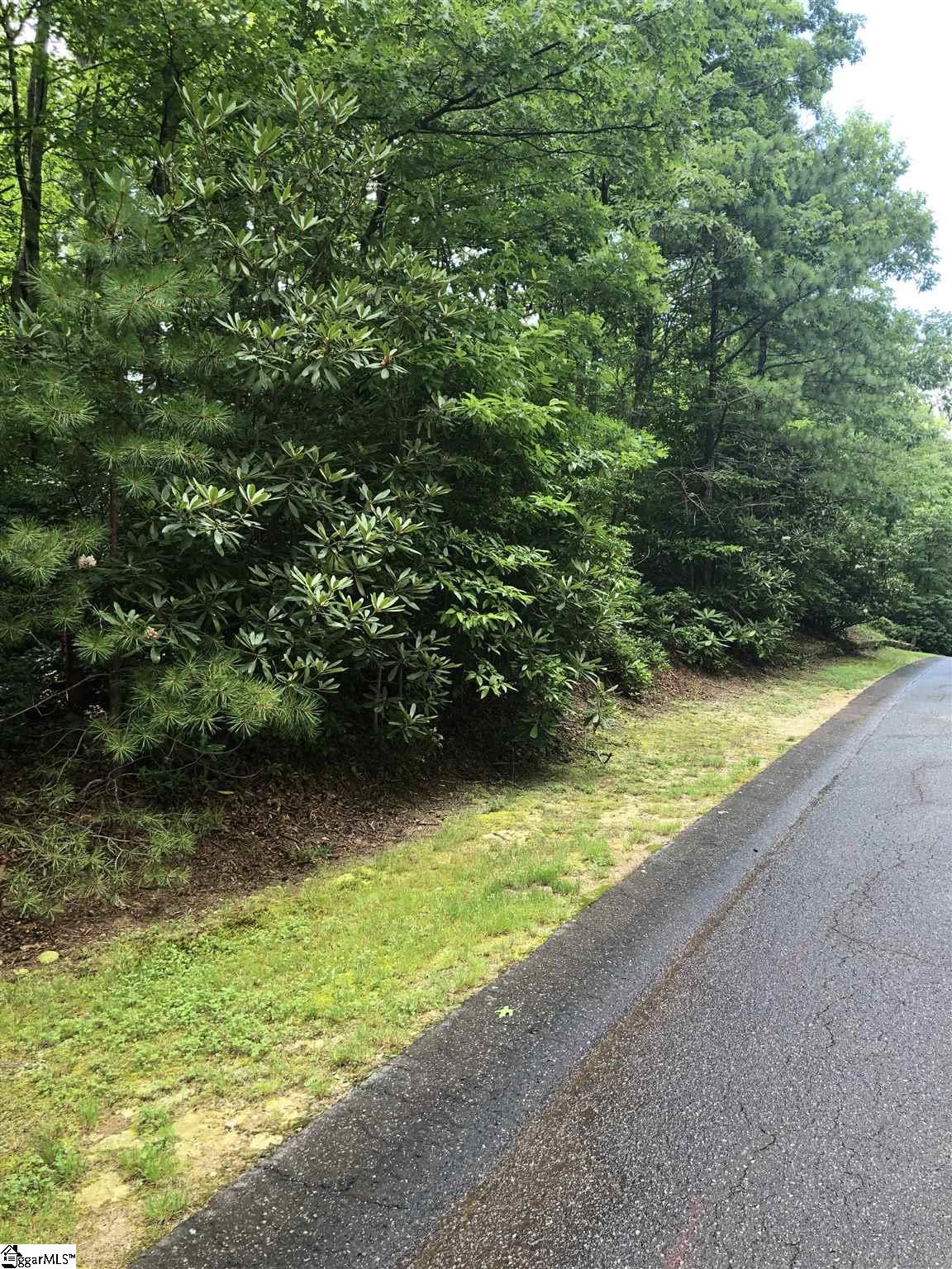 216 Conifer Falls Road Cleveland, SC 29635 - Photo 2 of 8