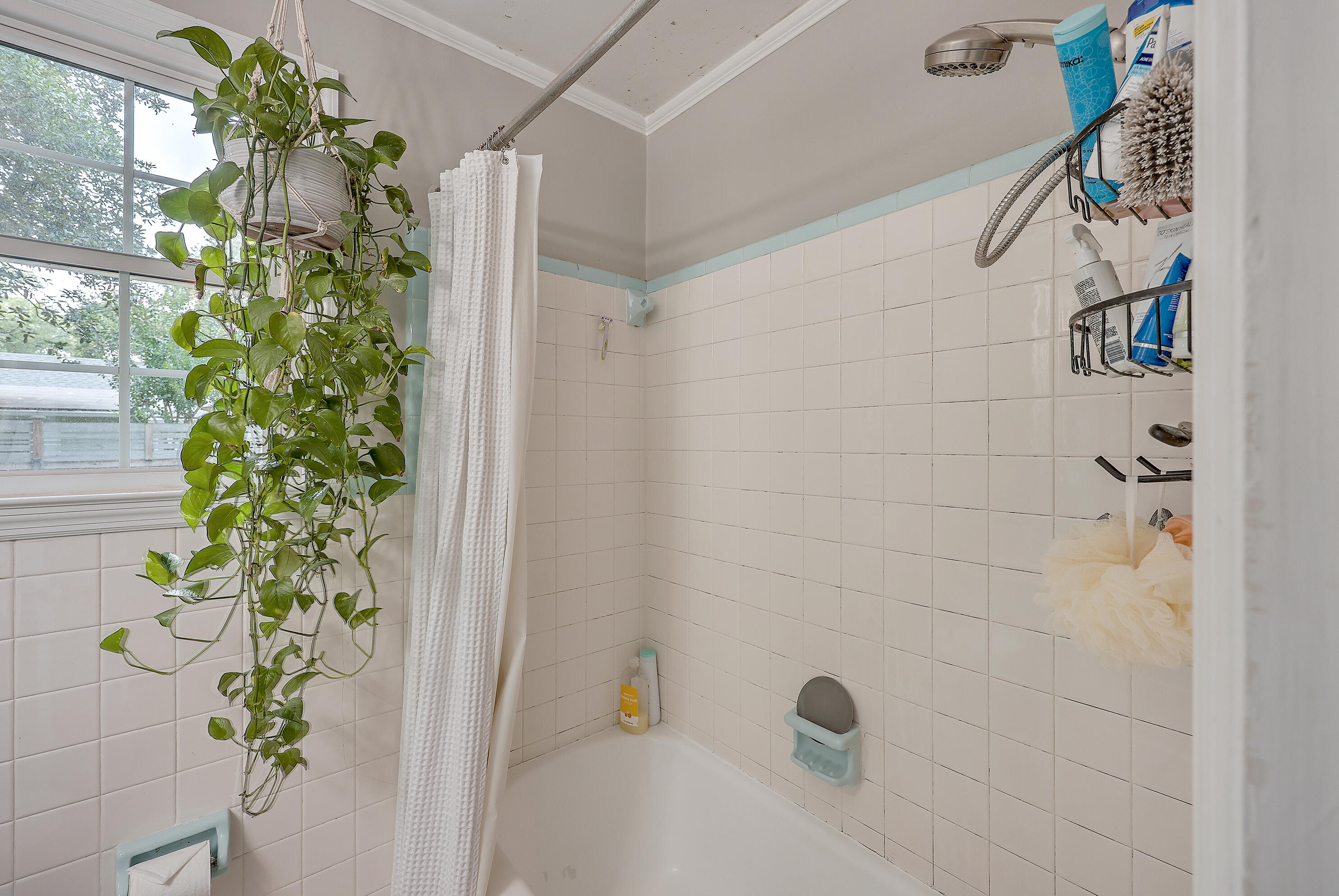 736 McCants Drive Mount Pleasant, SC 29464 - Photo 19 of 26 ZYN_3272_3_4_5_6_7_8