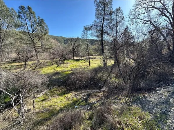 $35,000 | 1395 New Long Valley Road, Clearlake Oaks, CA 95423