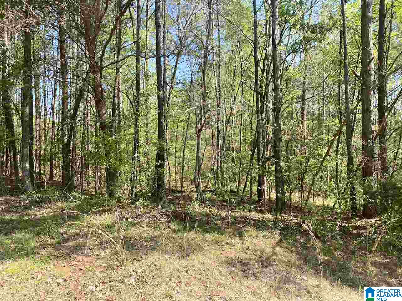 4201 Bristow Cove Road, Unit 1 Boaz, AL 35956 - Photo 5 of 23