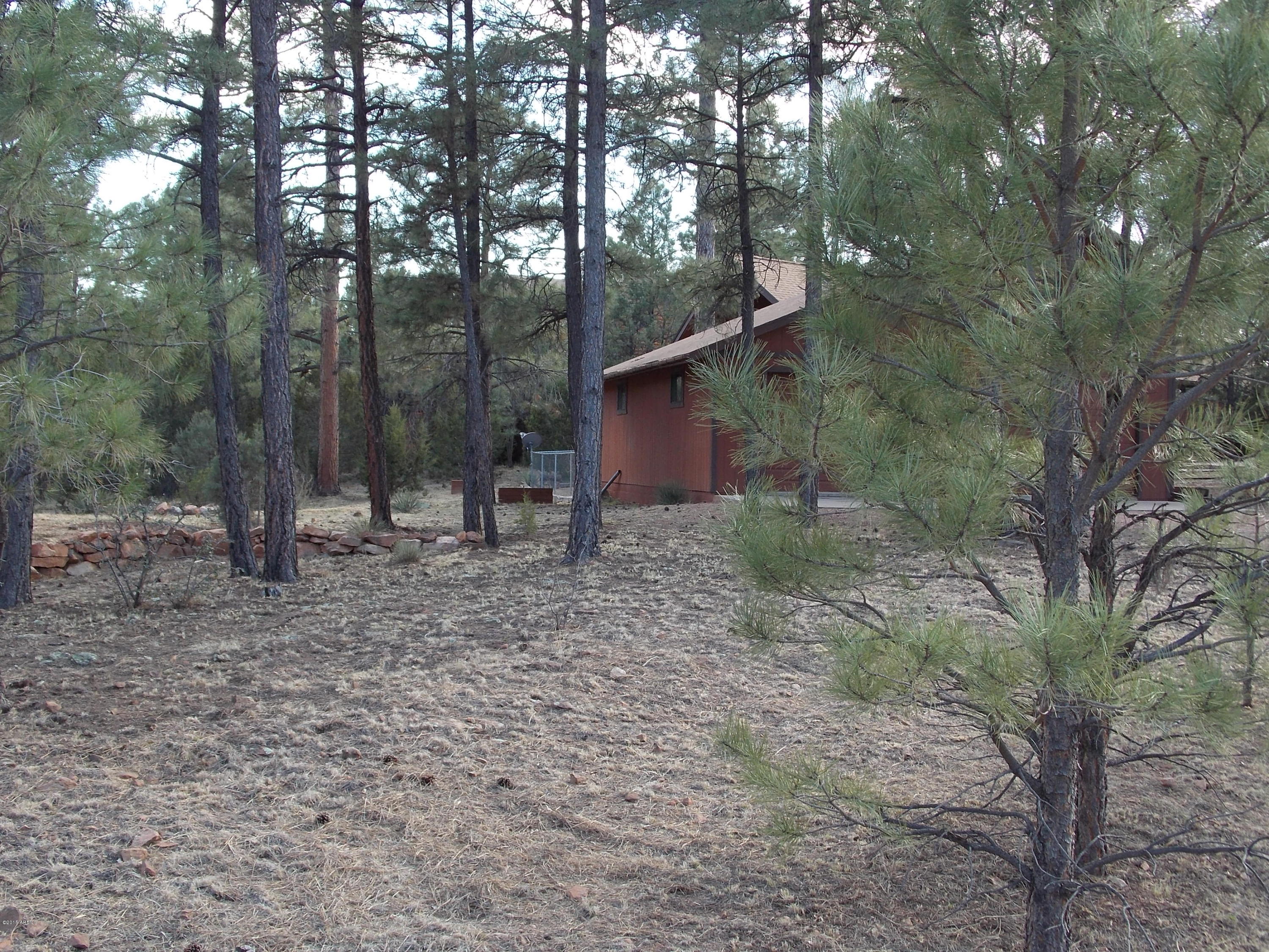 2237 Cross Country Road Overgaard, AZ 85933 - Photo 23 of 25 cross country 004