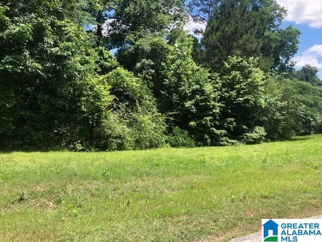 Campbellville Road Empire, AL 35063 - Photo 2 of 4