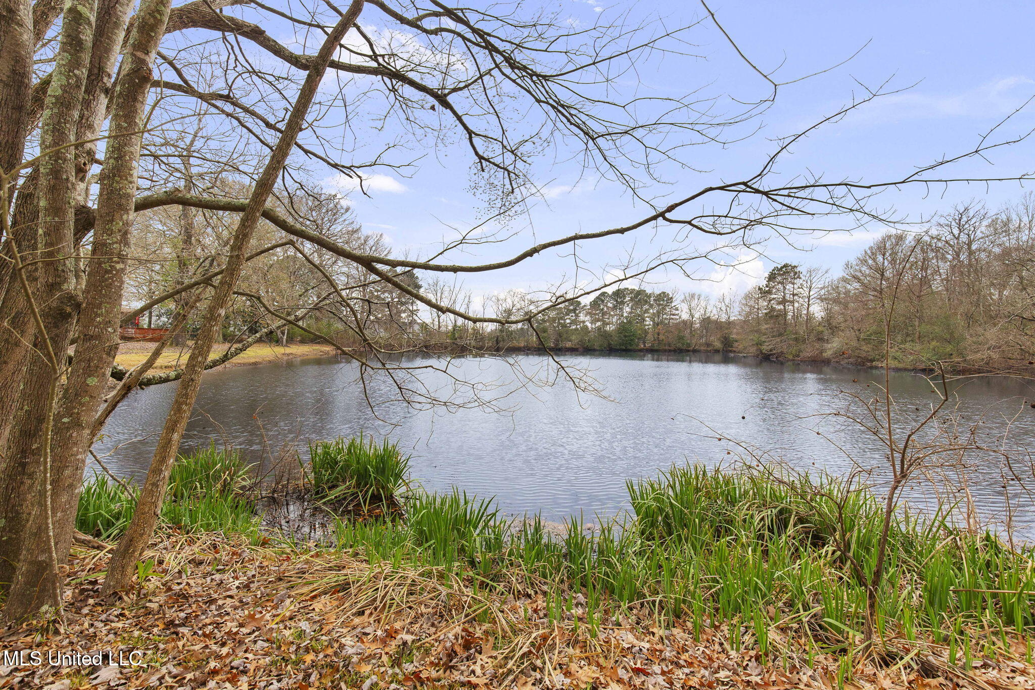 103 Wickstead Drive Clinton, MS 39056 - Photo 4 of 81 Front of house 4