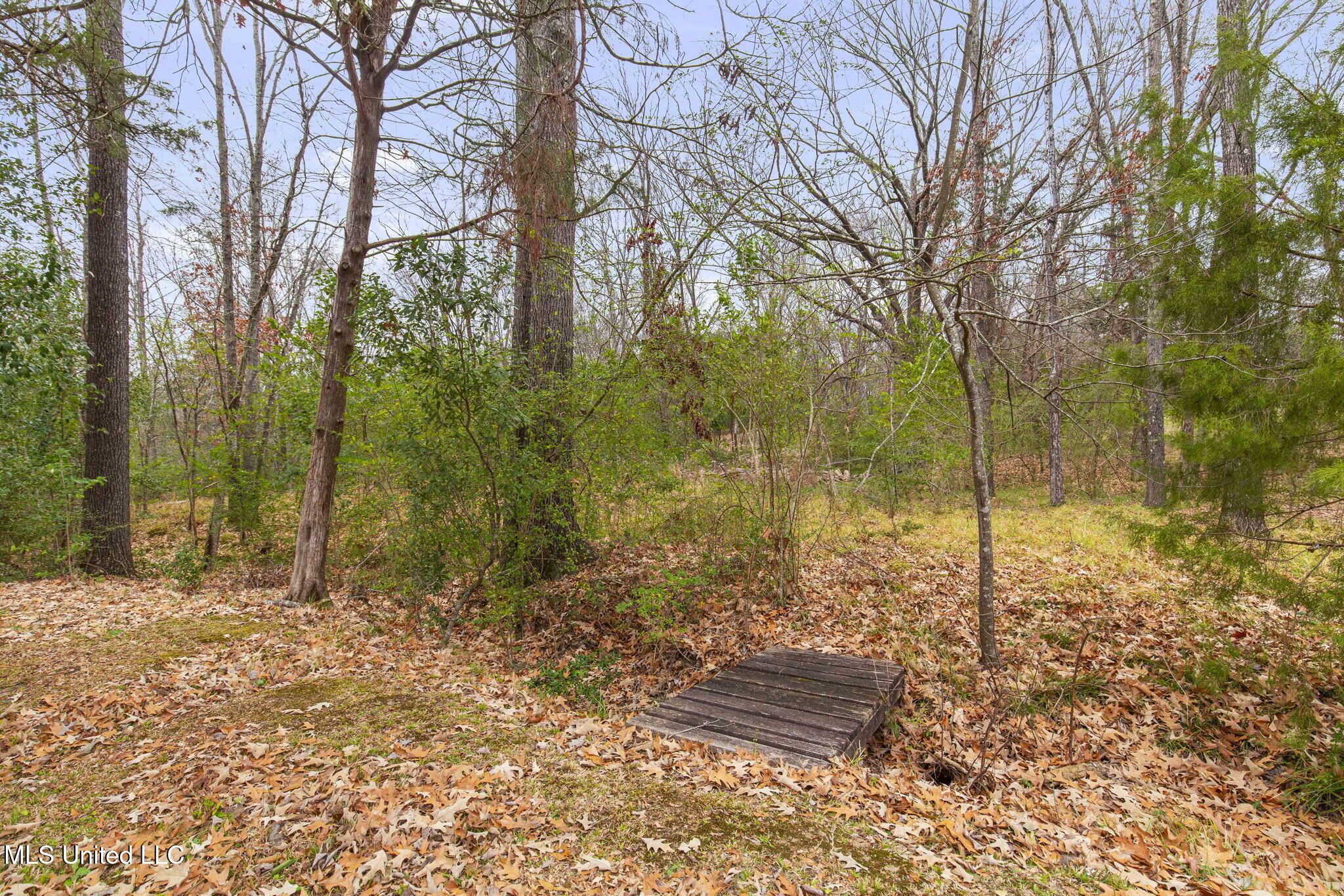 103 Wickstead Drive Clinton, MS 39056 - Photo 81 of 81 Backyard 15