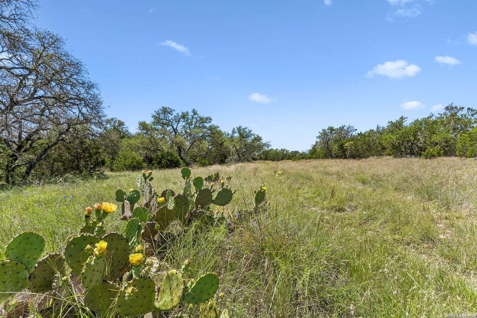 888 Wofford Road London, TX 76854 - Photo 8 of 31