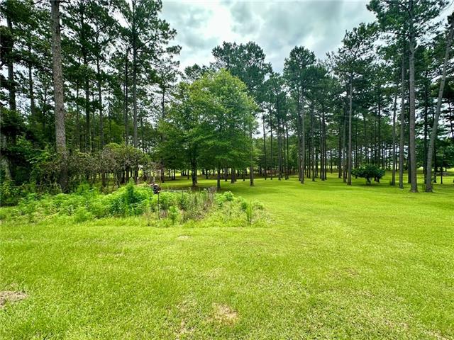 3366 Grays Creek Road Dry Prong, LA 71423 - Photo 8 of 33