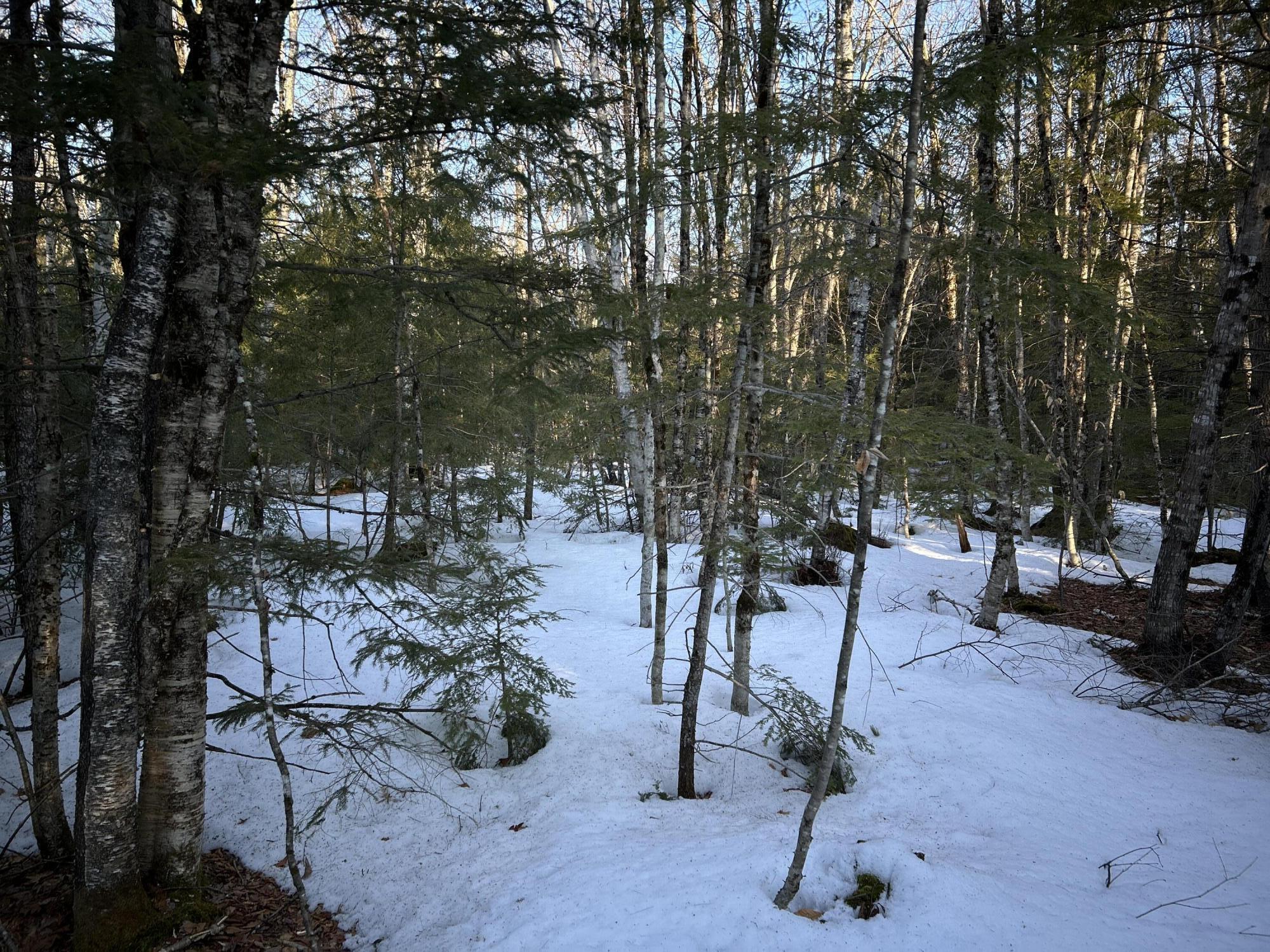 Map13-lot11 Field View Road Fryeburg, ME 04037 - Photo 27 of 37