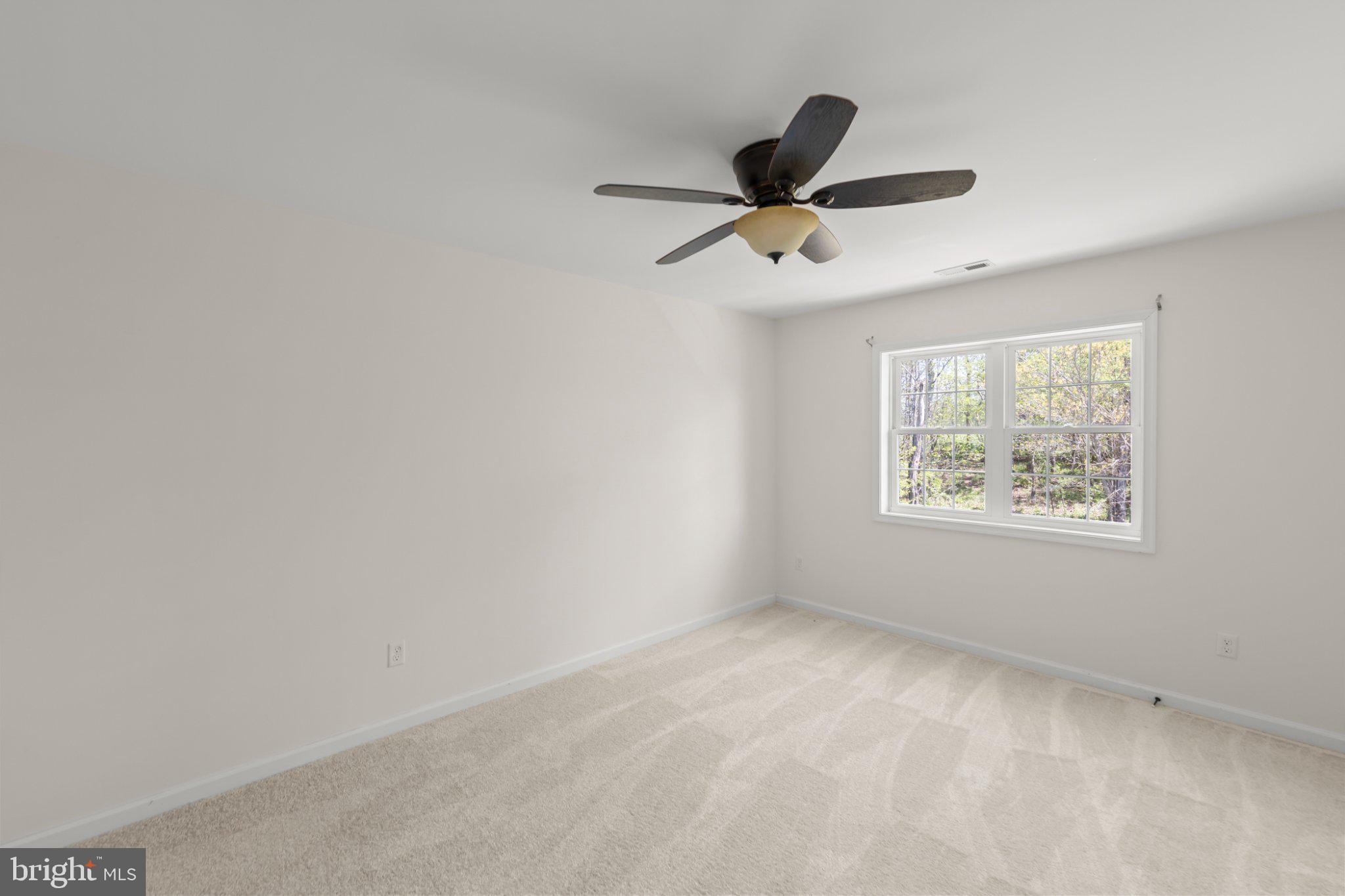 112 Colonial Drive Cross Junction, VA 22625 - Photo 30 of 45 a view of room window and a ceiling fan
