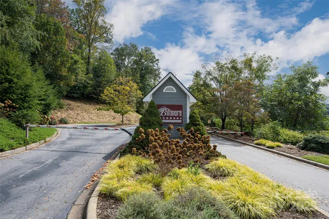 a view of a back yard with flower plants