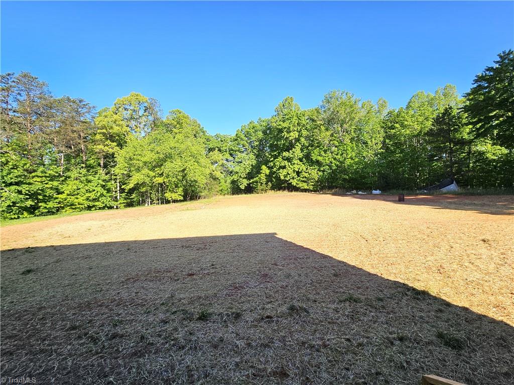 1661 King Road Westfield, NC 27053 - Photo 10 of 27